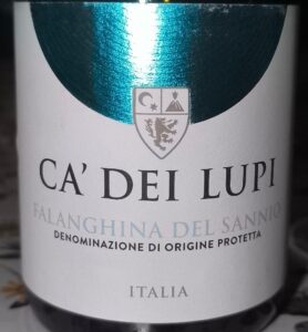 Elegante Weinflasche des Ca' Dei Lupi Falanghina del Sannio mit hellem Etikett vor neutralem Hintergrund.